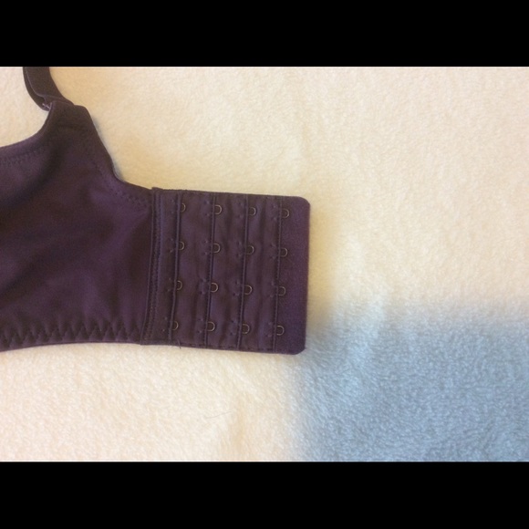 NWOT Beautiful Lace Bra - Picture 5 of 6